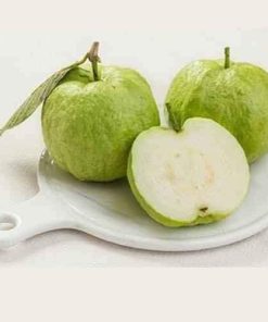 ỔI NỮ HOÀNG THÁI F1 cây chiết 6 tháng cho quả.