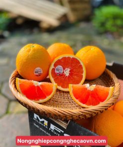cam Cara ruột đỏ