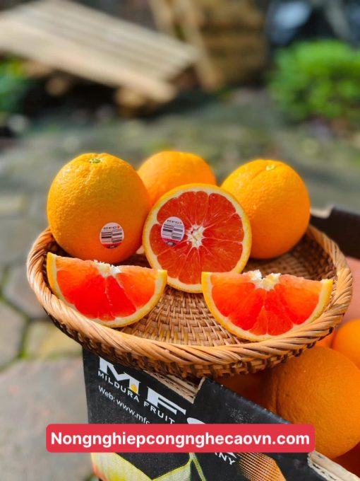 cam Cara ruột đỏ