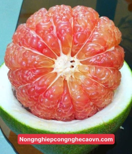 bưởi da xanh